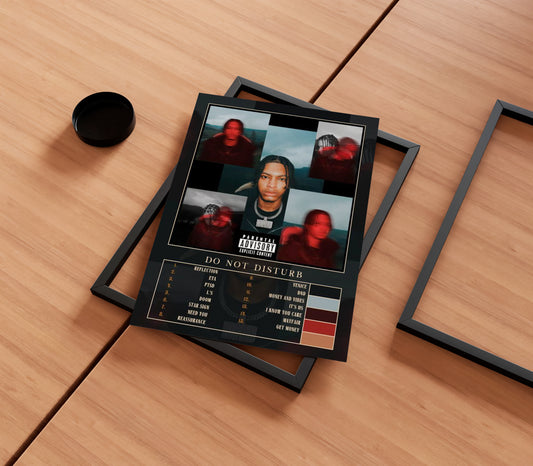 Nemzzz 'Do Not Disturb' Album Poster